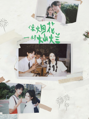 像烟花一样灿烂（60集）红果免费短剧