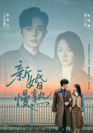 新婚慢熟（105集）好看短剧看不停