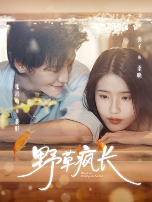 野草疯长(71集) 野草疯长(71集)恋爱短剧分享