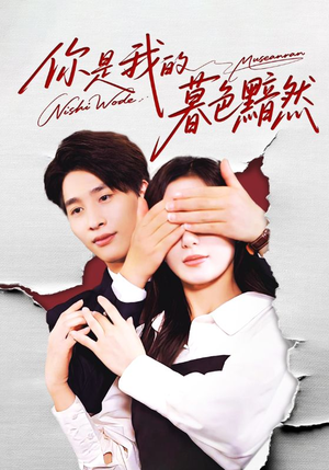 你是我的暮色黯然（80集）360网盘观看