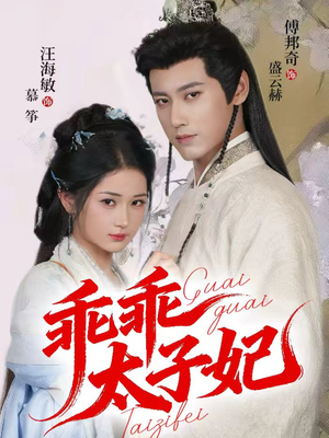 乖乖太子妃（64集）直接追到结尾