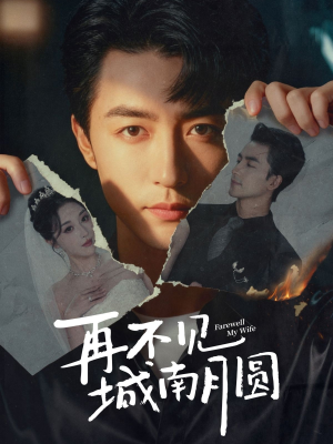 再不见城南月圆（60集）精彩短剧下载