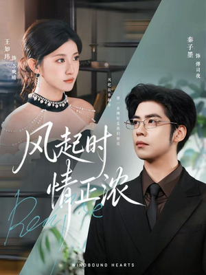 风起时情正浓（79集）好看短剧分享