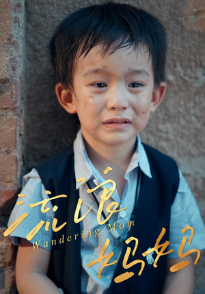 流浪妈妈(30集) 流浪妈妈(30集)看到了大结局