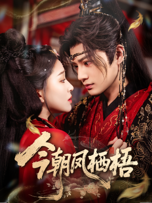 今朝凤栖梧（68集）全集