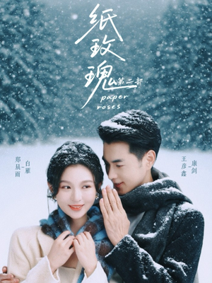 纸玫瑰第二部（80集）免费观看全集
