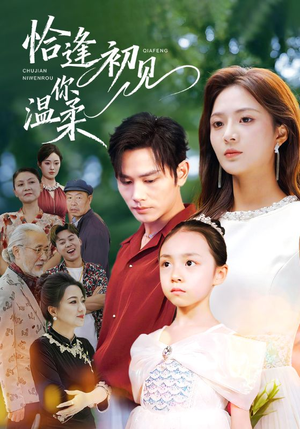 恰逢初见你温柔(86集) 恰逢初见你温柔(86集)短剧太上头了