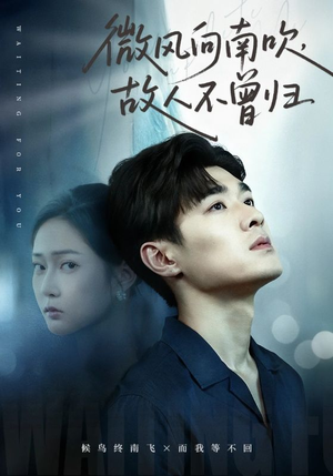 微风向南吹，故人不曾归（72集）看到大结局