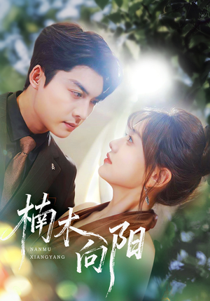 楠木向阳（70集）夸克在线观看