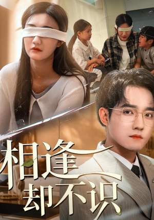 相逢却不识（77集）西瓜短剧免费看