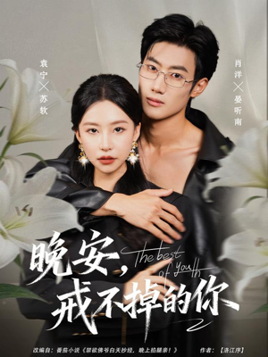 晚安，戒不掉的你（68集）精彩好看的短剧