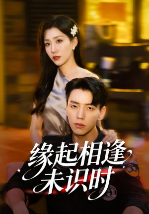 缘起相逢未识时(57集) 缘起相逢未识时(57集)评价怎么样