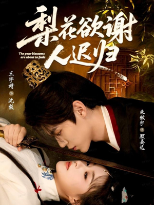 梨花欲谢人迟归（60集）全剧看到大结局