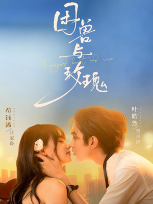 困兽与玫瑰（90集）让你一口气看完