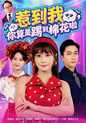 惹到我，你算是踢到棉花啦（67集）追短剧看全集