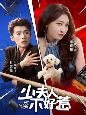 少夫人不好惹（61集）免费短剧资源