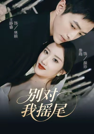 别对我摇尾（59集）好看上头短剧