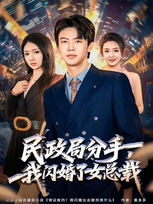 民政局分手，我闪婚了女总裁（72集）古装短剧热播