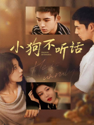 小狗不听话(70集) 小狗不听话(70集)每日短剧追不停