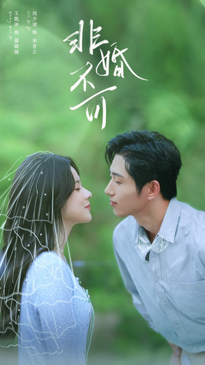 非婚不可(65集) 非婚不可(65集)免费短剧就是爽