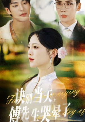 诀别当天傅先生哭晕了（62集）热门短剧免费看