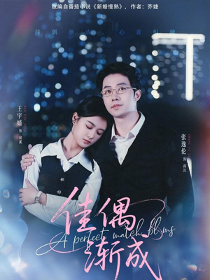 佳偶渐成(71集) 佳偶渐成(71集)深深爱上这部剧