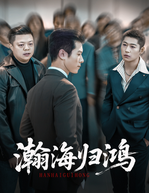 瀚海归鸿(74集) 瀚海归鸿(74集)精彩片段