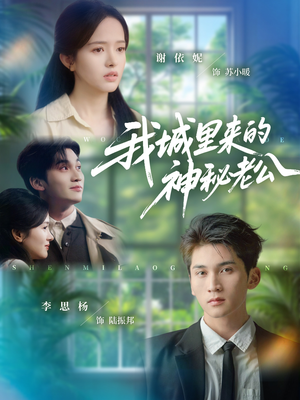 我城里来的神秘老公(30集) 我城里来的神秘老公(30集)剧情简介