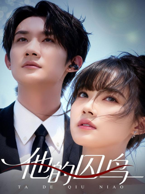 他的囚鸟(60集) 他的囚鸟(60集)海量资源免费看