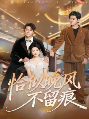 恰似晚风不留痕(61集) 恰似晚风不留痕(61集)番茄短剧免费看