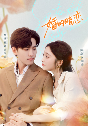 婚内暗恋(80集) 婚内暗恋(80集)热门短剧推广