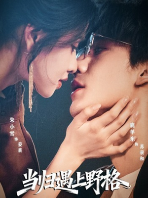 当归遇上野格(66集) 当归遇上野格(66集)免费短剧就是爽