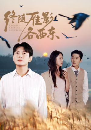 终随雁影各西东（86集）高清画质免费看