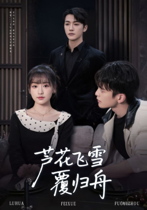 芦花飞雪覆归舟（77集）热门短剧分享