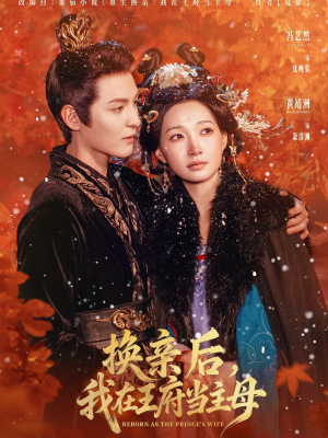 换亲后，我在王府当主母（80集）每日短剧追不停