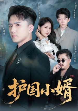 护国小婿(60集) 护国小婿(60集)短剧演员排行榜