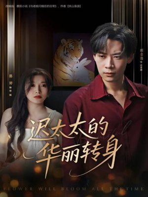 迟太太的华丽转身（80集）热播短剧排行榜