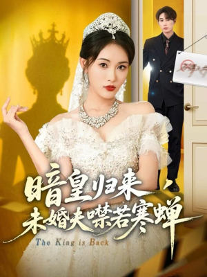 暗皇归来，未婚夫噤若寒蝉（65集）热播短剧推荐