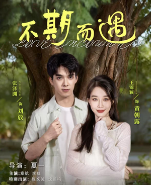 不期而遇(62集) 不期而遇(62集)红果短剧看全集