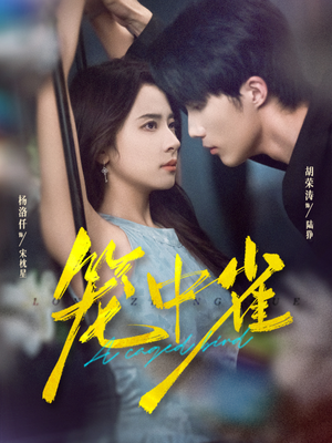 笼中雀(65集) 笼中雀(65集)好看的短剧推荐