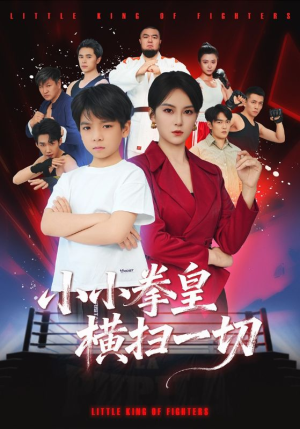 小小拳皇横扫一切（60集）最热短剧推荐