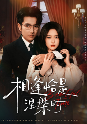 相逢恰是涅槃时（63集）古代短剧推荐