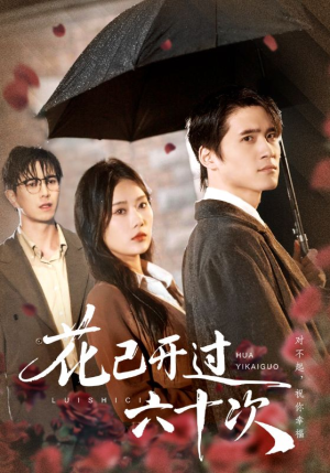 情敌交手她选择躺赢（72集）在哪看是免费的