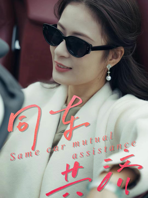 同车共济（39集）精彩短剧天天看