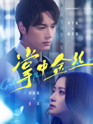 长姐她竟是隐藏大佬(60集) 长姐她竟是隐藏大佬(60集)短剧推荐分享