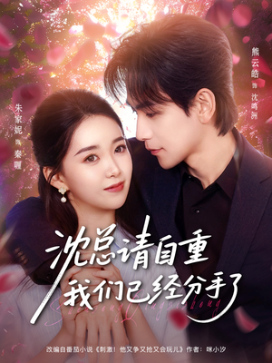 沈总请自重我们已经分手了(80集) 沈总请自重我们已经分手了(80集)民国短剧推荐