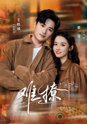 难撩（100集）在线观看全集