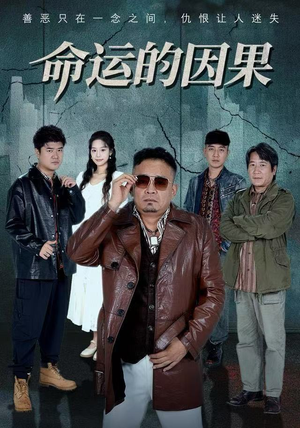 命运的因果（60集）一起看短剧