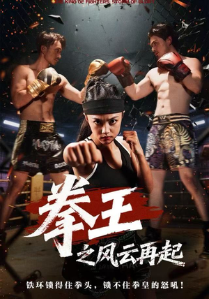 拳王之风云再起（50集）网络小短剧