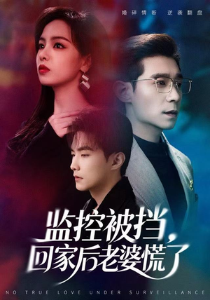 监控被挡，回家后老婆慌了（60集）在哪看是免费的